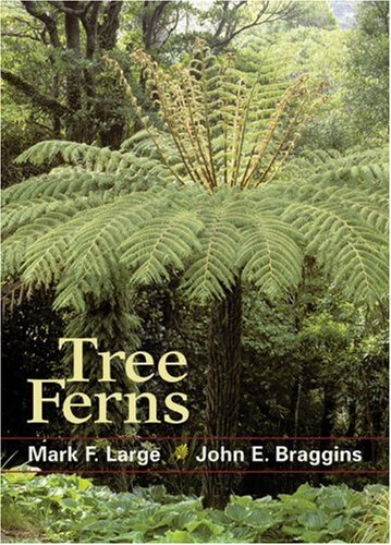 Tree ferns