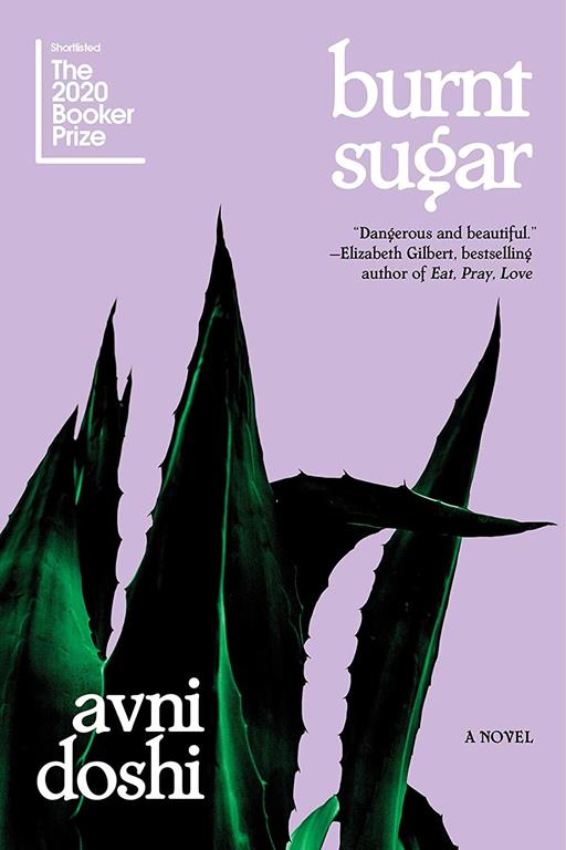 Burnt Sugar: A Novel