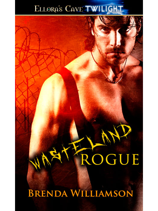 Wasteland Rogue