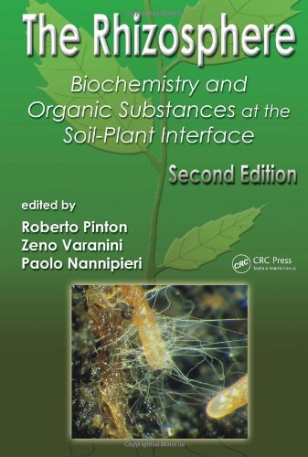 The rhizosphere : biochemistry and organic substances at the soil-plant interface