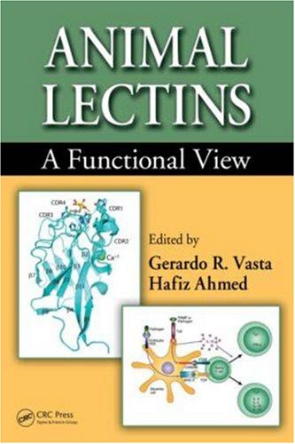 Animal lectins : a functional view