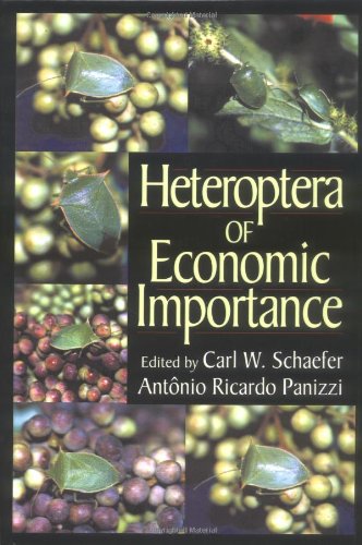 Heteroptera of economic importance