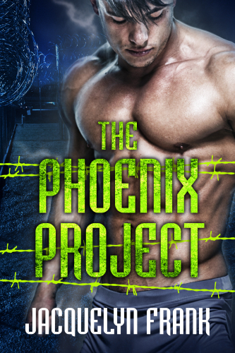 The Phoenix Project