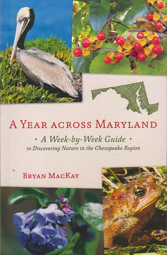 A Year across Maryland