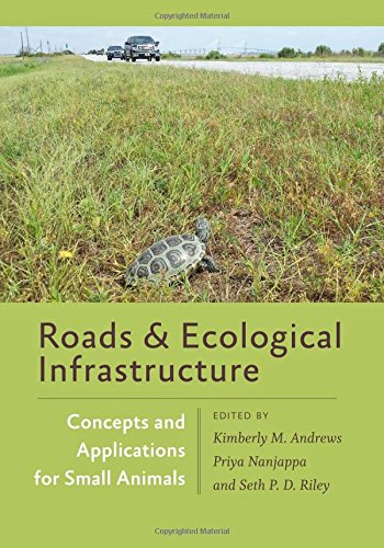 Roads and Ecological Infrastructure