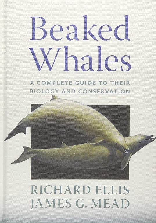 Beaked Whales