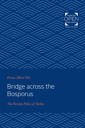 Bridge Across the Bosporus