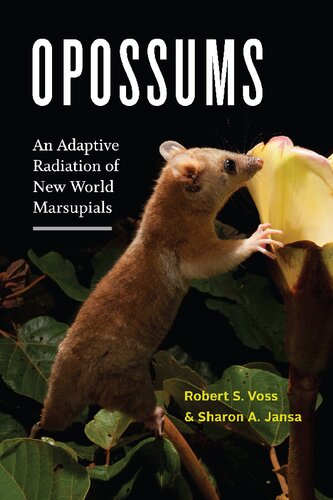Opossums : an adaptive radiation of New World marsupials