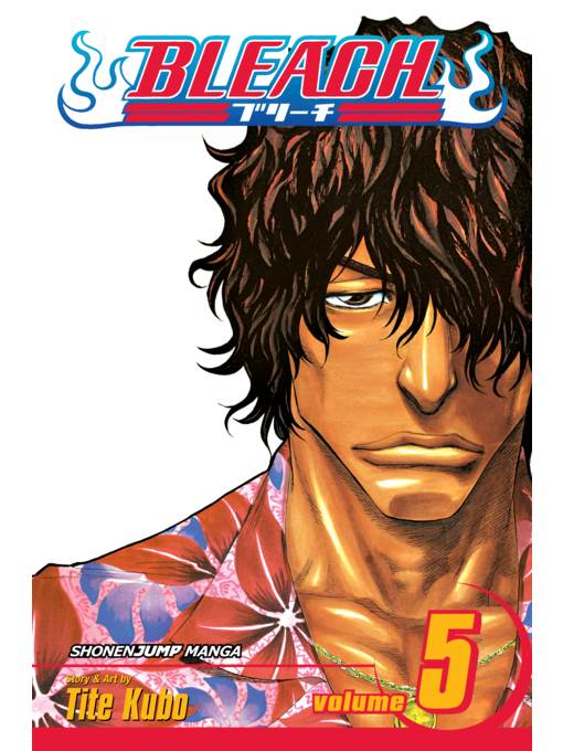 Bleach, Volume 5