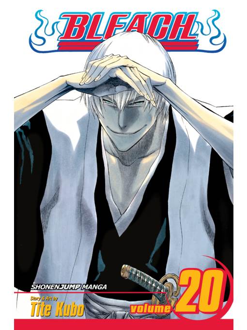 Bleach, Volume 20
