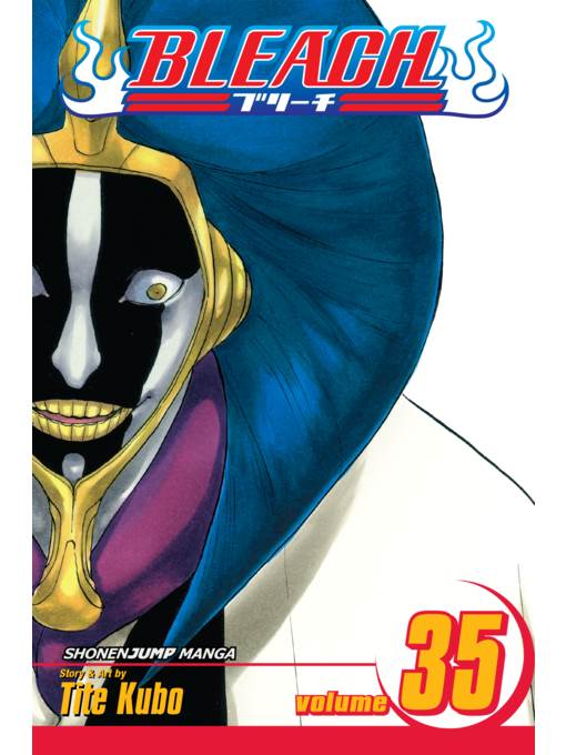 Bleach, Volume 35