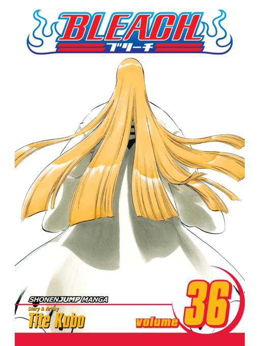 Bleach, Volume 36