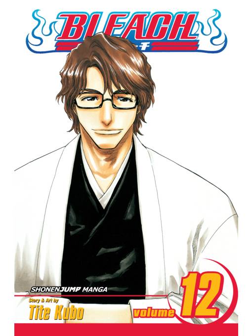Bleach, Volume 12