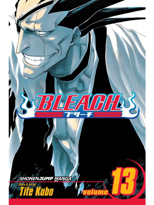 Bleach, Volume 13