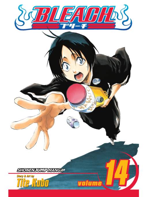 Bleach, Volume 14