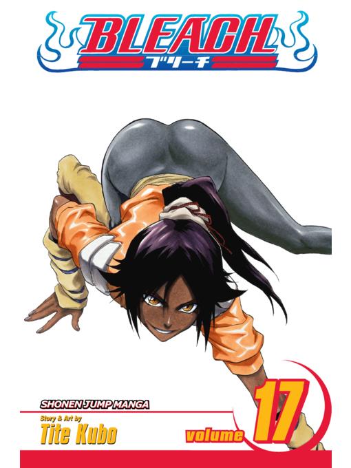 Bleach, Volume 17