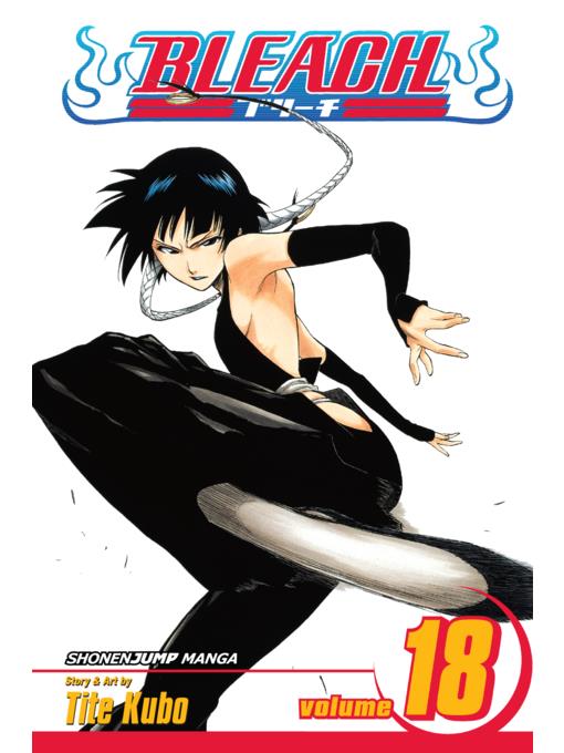 Bleach, Volume 18
