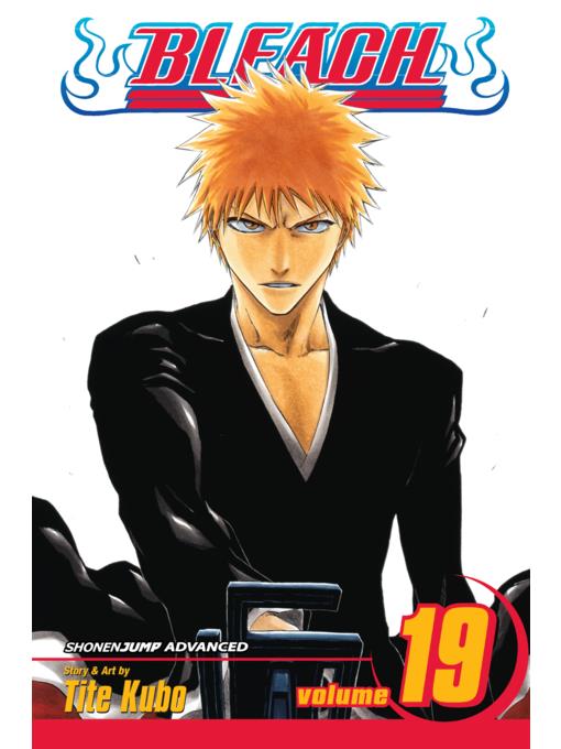 Bleach, Volume 19