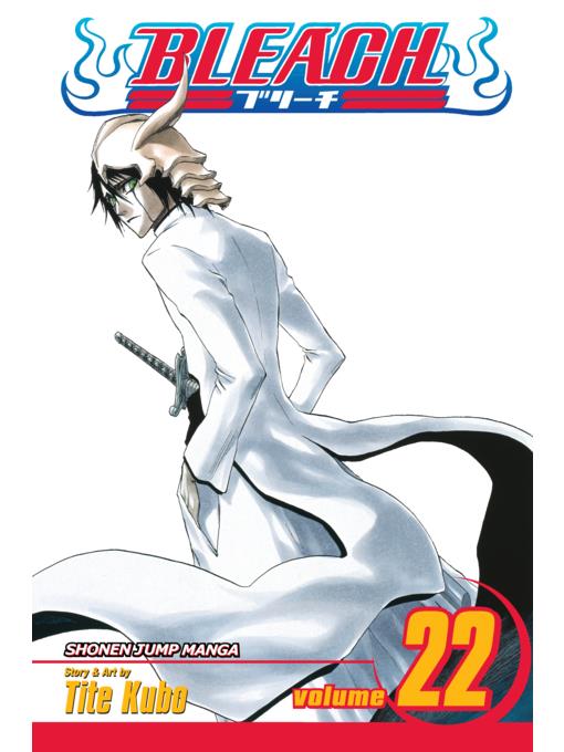 Bleach, Volume 22