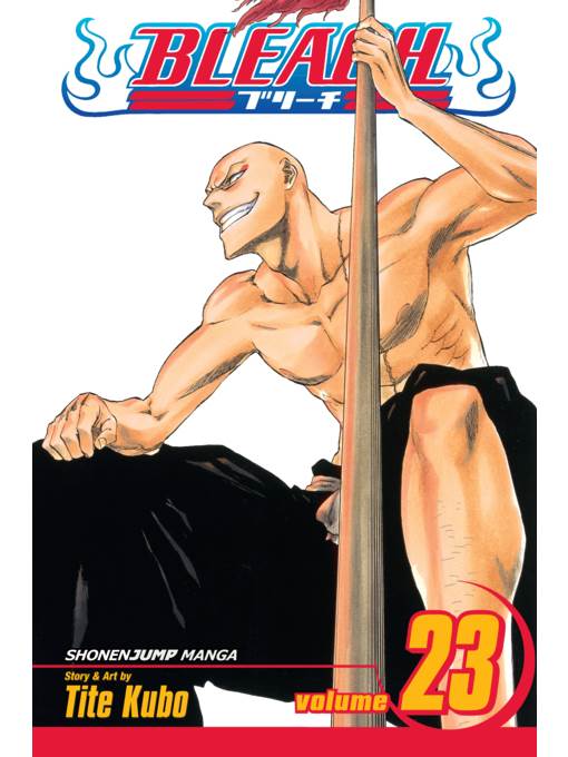 Bleach, Volume 23