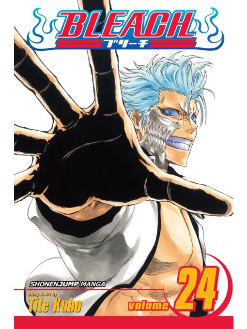 Bleach, Volume 24
