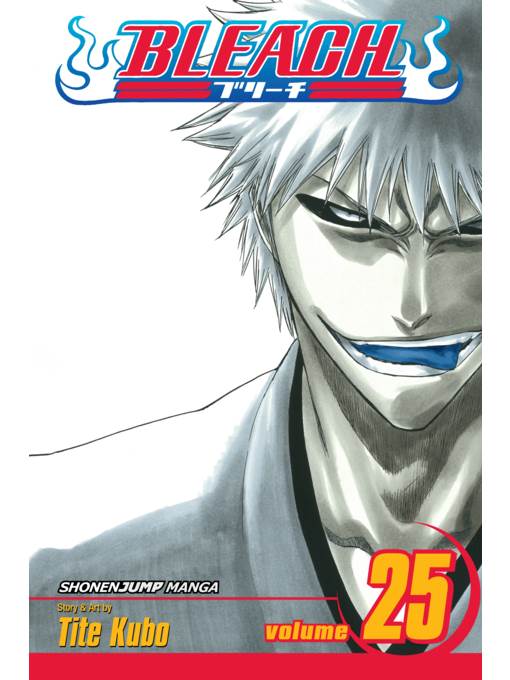 Bleach, Volume 25