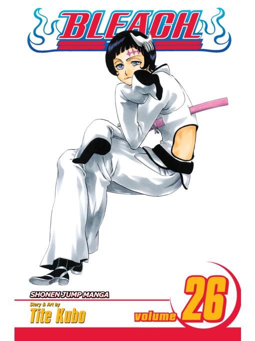 Bleach, Volume 26