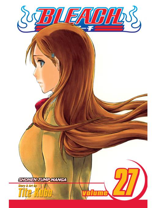 Bleach, Volume 27