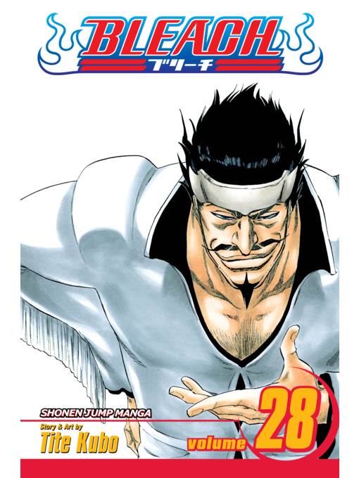 Bleach, Volume 28