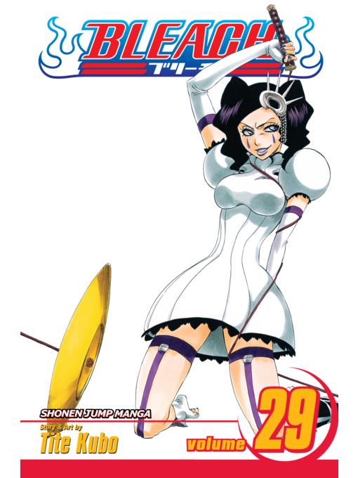 Bleach, Volume 29