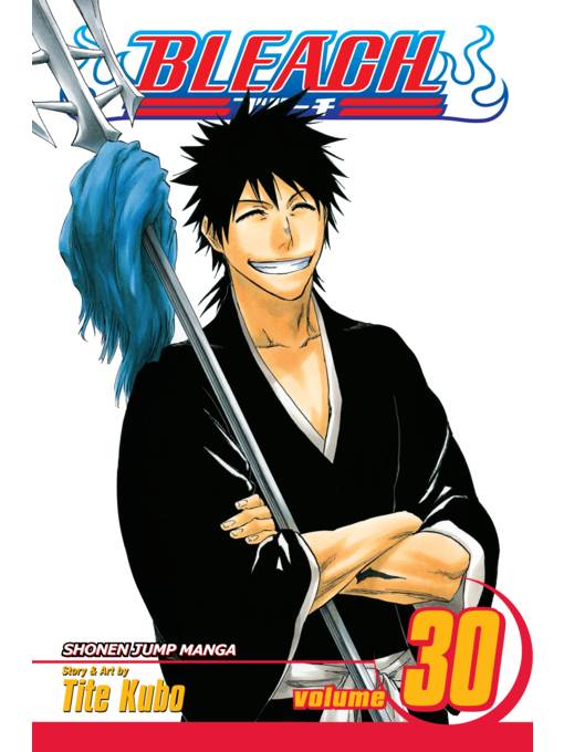 Bleach, Volume 30