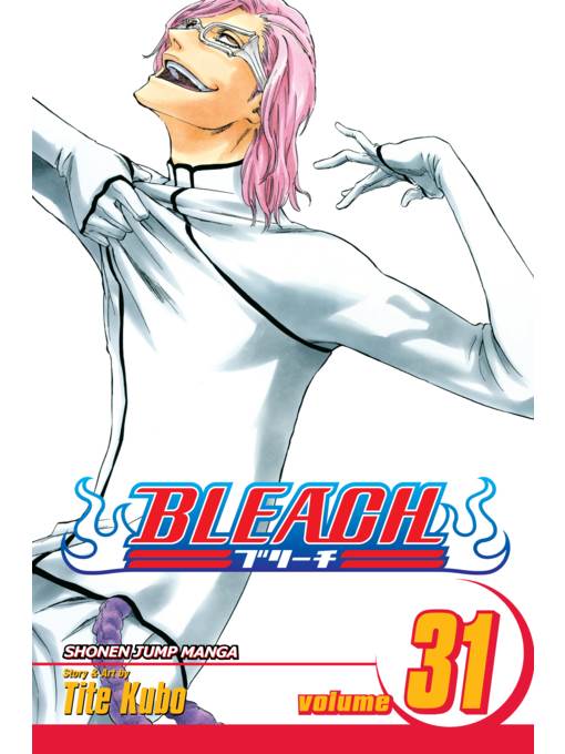 Bleach, Volume 31