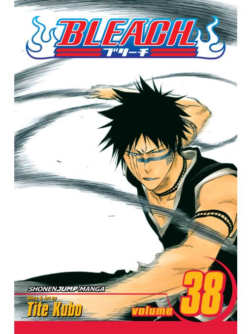 Bleach, Volume 38