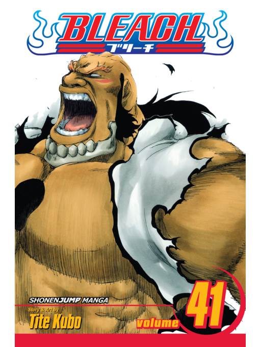 Bleach, Volume 41