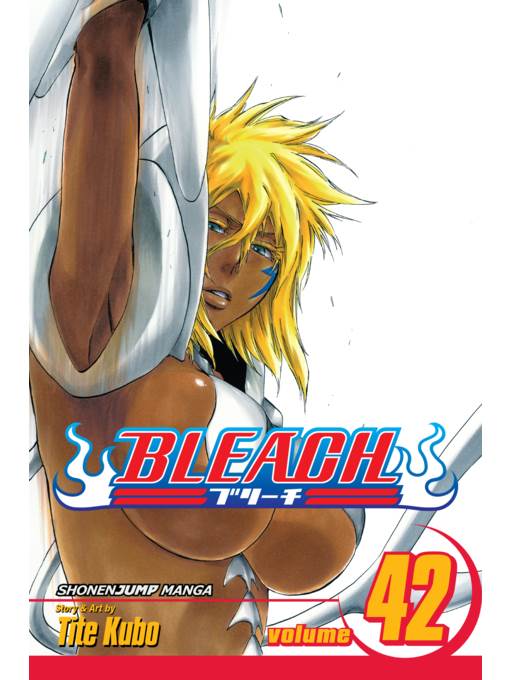 Bleach, Volume 42