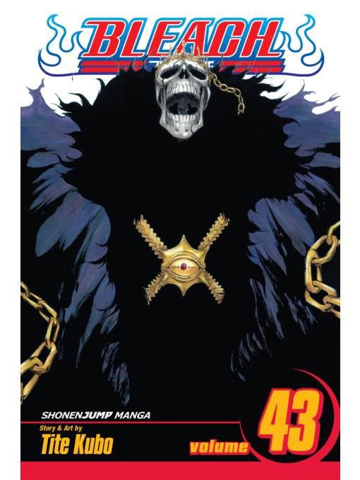 Bleach, Volume 43