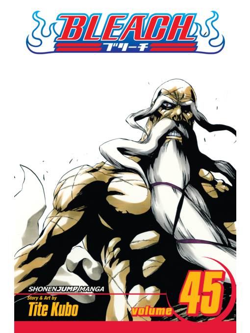 Bleach, Volume 45
