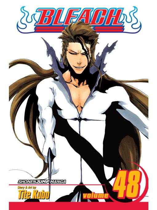 Bleach, Volume 48