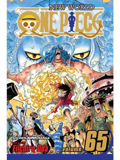 One Piece, Volume 65