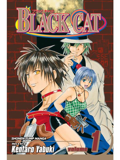 Black Cat, Volume 1
