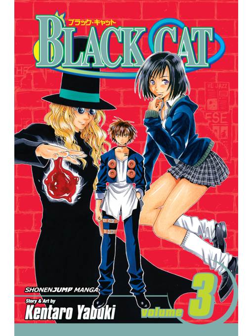 Black Cat, Volume 3