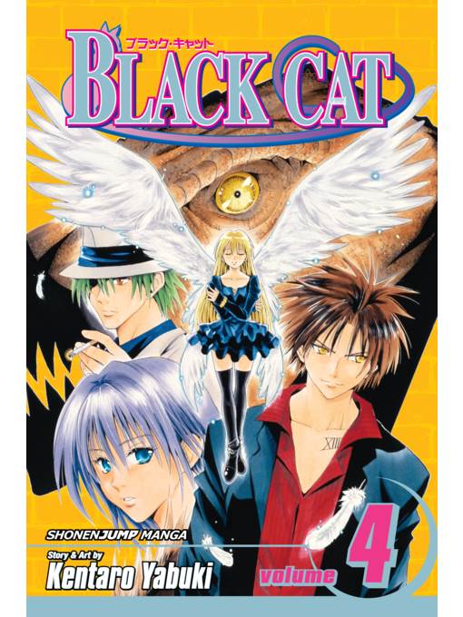 Black Cat, Volume 4