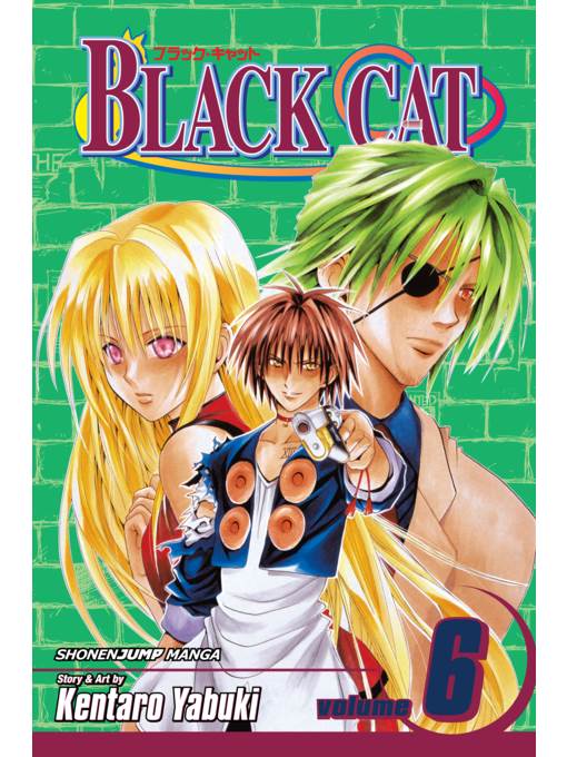 Black Cat, Volume 6