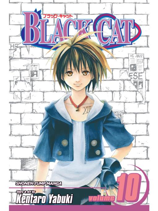 Black Cat, Volume 10