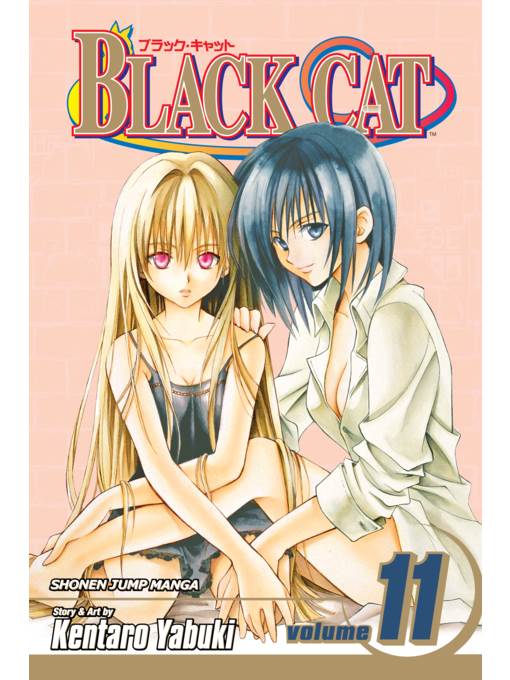 Black Cat, Volume 11