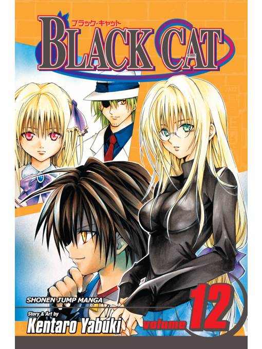 Black Cat, Volume 12