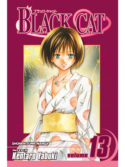 Black Cat, Volume 13