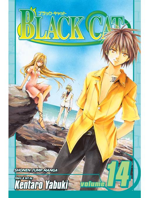 Black Cat, Volume 14