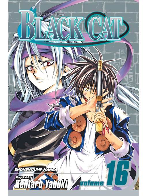 Black Cat, Volume 16