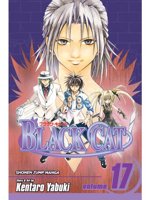 Black Cat, Volume 17